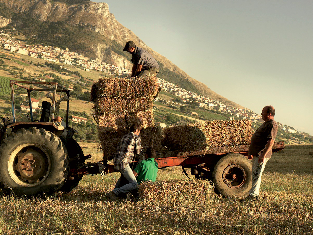 Sicilian Roots