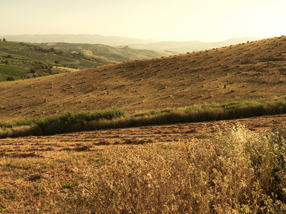 slowsalvino_0123.jpg